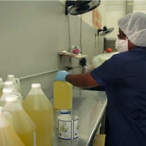 Caribbean Flavours Reports Breakthrough in Suriname
