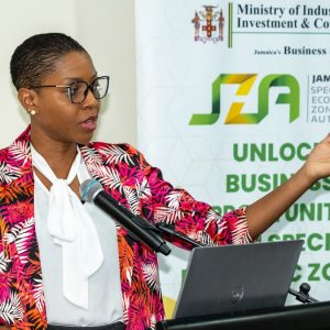 SEZ Master Plan to Serve as Strategic Blueprint for Future Investments
