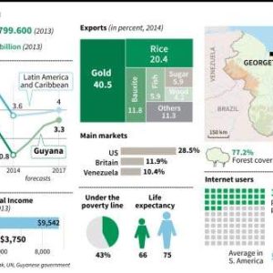 Jamaican Businesses Look to Seize Opportunity in Guyana